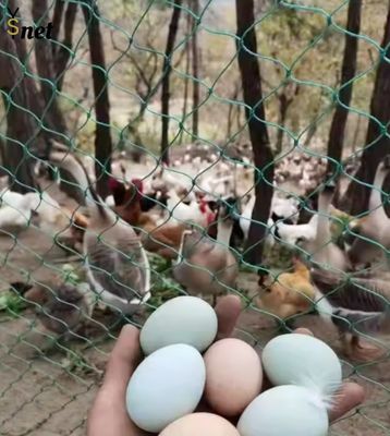 Heavy Duty Bird Proof Net 3cm / 5cm / 7cm / 10cm HDPE Anti Bird Net