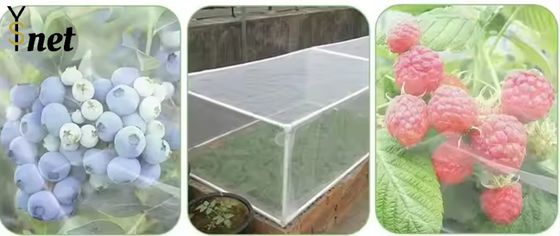 Insect Proof Nylon Garden Netting Customized Bird Netting For Vegetable Garden