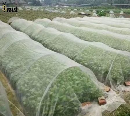 Insect Proof Nylon Garden Netting Customized Bird Netting For Vegetable Garden