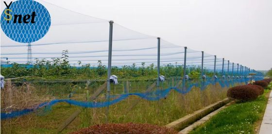 Agricultural Bird Prevention Netting 5m - 1000m Knitted Bird Netting