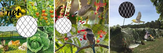Agricultural Bird Prevention Netting 5m - 1000m Knitted Bird Netting