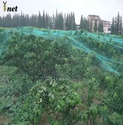 Mạng lưới vườn trái cây trắng 10gm - 60gm Mạng lưới chim vườn trái cây