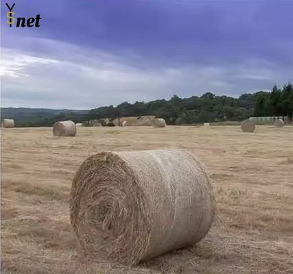 HDPE gói tùy chỉnh chống tia cực tím nhựa lưới gói phân hủy sinh học