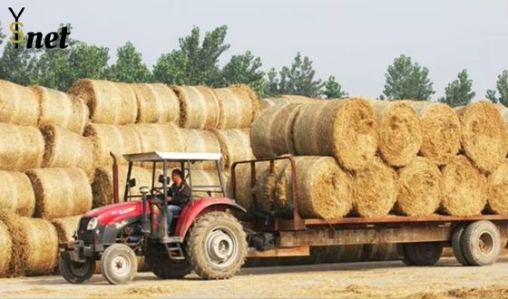 Anti UV Round Bale Net Wrap 1.5X3000m Silage Bale Netting White