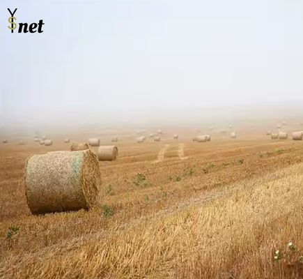UV Stability Round Baler Net Wrap Anti Aging Hay Bale Net 1.25X2000m
