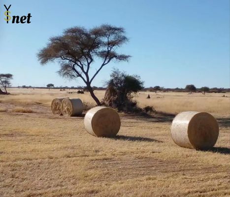 Knitted Hay Bale Netting HDPE Silage Bale Net Anti Aging For Farmers