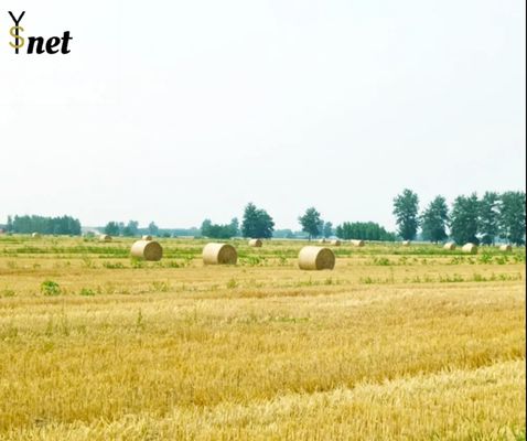 HDPE Biodegradable Hay Bale 2000m 3000m 3400m Wrap Silage Net Wrap