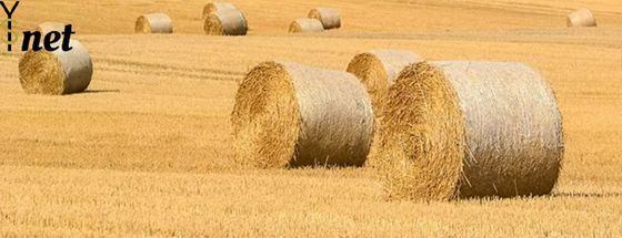 Customized Round Bale Net Wrap 1.25X2000m Bale Wrap Net 8gsm - 10gsm