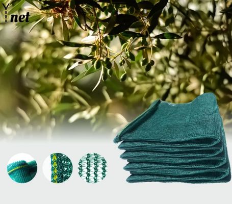 Hot Selling Olive Net Greek Markets Triangular Mesh Surface Plastic Net Green HDPE Orchard Olive Harvest Net