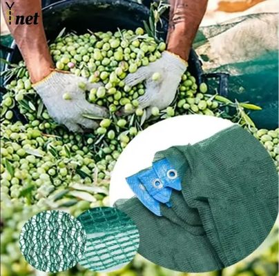 60gsm - 90gsm Fruit Collector Net HDPE Fruit Collector Harvesting Net