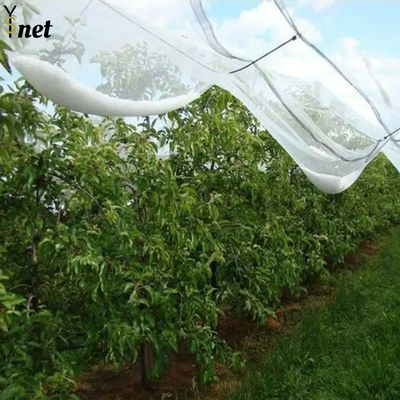 Anti Hail Nets for Apple Tree Agriculture Anti Hail Net Anti-hail Net With Pillars