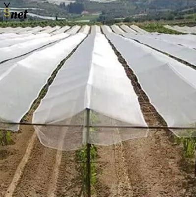 Anti Hail Nets for Apple Tree Agriculture Anti Hail Net Anti-hail Net With Pillars