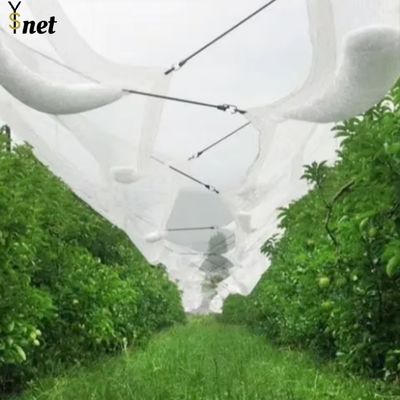 Durable Anti Hail Net 50m 100m Bird Netting For Grape Vines And Apple Tree