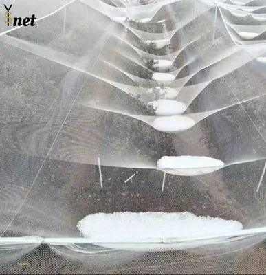 Durable Anti Hail Net 50m 100m Bird Netting For Grape Vines And Apple Tree