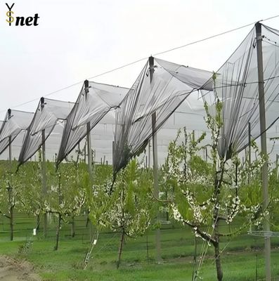 Durable Anti Hail Net 50m 100m Bird Netting For Grape Vines And Apple Tree