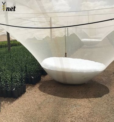 Durable Anti Hail Net 50m 100m Bird Netting For Grape Vines And Apple Tree
