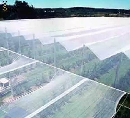 Plastic Anti Hail Net White Hail Screen For Gardens And Fruits