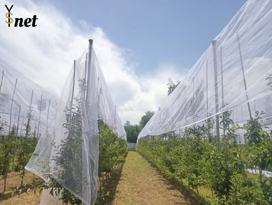 Plastic Anti Hail Net White Hail Screen For Gardens And Fruits