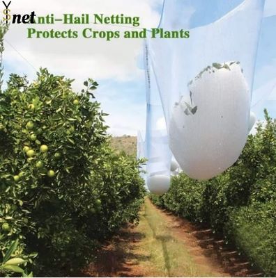 Anti-Aging Ticari Bahçe Ağı 40gm 50gm Bahçe Bitkisi Ağı