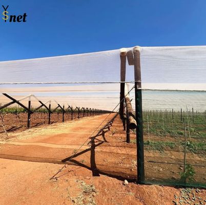 White Anti Hail Net Customized Garden Windbreak Netting 30gsm - 90gsm