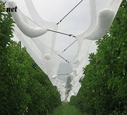 Customized Orchard Hail Netting 40m 60m 70m 80m Hail Netting For Gardens