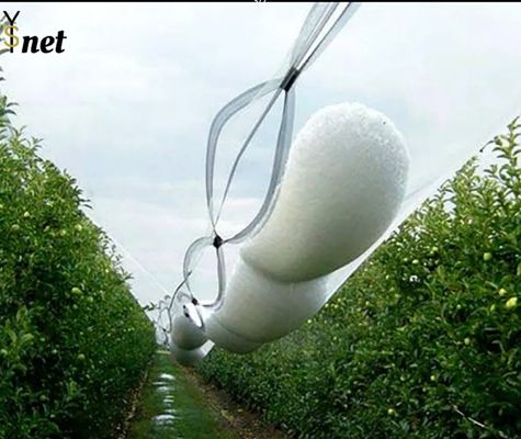 Customized Orchard Hail Netting 40m 60m 70m 80m Hail Netting For Gardens