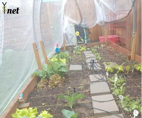 HDPE Anti Hail Net Agricultural Anti Hail Mesh Customized Anti Bee