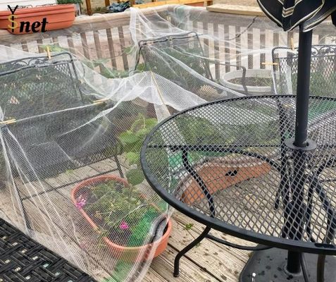 HDPE Anti Hail Net Agricultural Anti Hail Mesh Customized Anti Bee