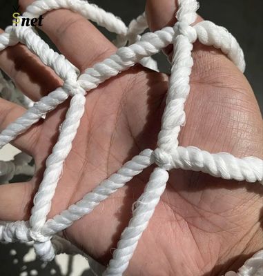 Industrial Cargo Lifting Net Polypropylene Safety Lifting Net 3X6m